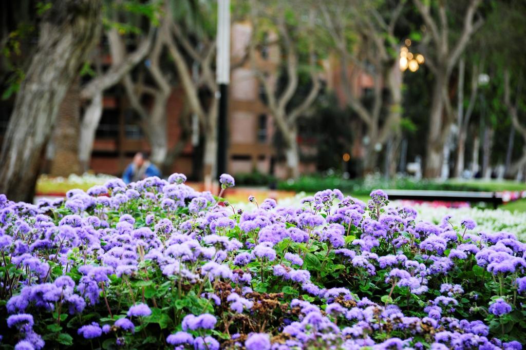 Roosevelt Hotel & Suites Lima Eksteriør bilde
